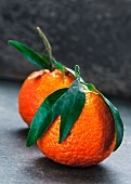 Two clementines with leaves