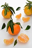 Clementines with leaves
