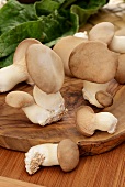 Fresh king trumpet mushroom on a wooden board