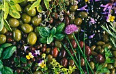 Olives and various herbs