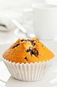 A chocolate chip muffin on a white surface