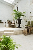 Mediterranean loggia with potted palm in front of seating area on platform