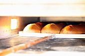 Wheat-rye loaves in a bakery oven