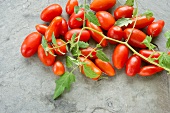 Plum tomatoes with leaves