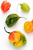 Colourful Habanero peppers