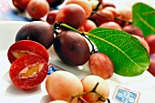 Karonda fruits (carissa carandas)