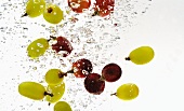 Red and green grapes falling into water