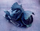 Two red cabbages