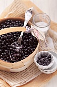 Sugared blueberries in a wooden basket and a tartlet dishes