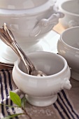 Soup tureens and soup bowls with spoons