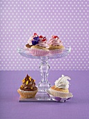 Various cupcakes on and in front of a cake stand