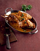 Rabbit paprikash