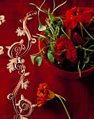 Kapuzinerkresseblüten in roter Schale