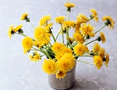 Vase of cut dandelions