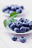 A plate of fresh blueberries