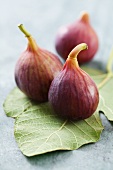 Figs on a fig leaf