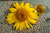 A sunflower, sunflower seeds and sunflower oil
