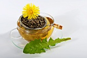 Dandelion tea, dandelion leaves and flowers