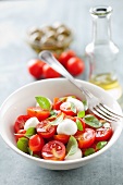 Tomato salad with mini mozzarella balls and basil