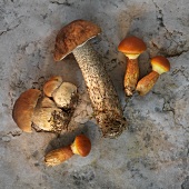 Wild mushrooms (larch boletes, porcini mushrooms and birch boletes)