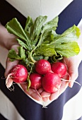 A woman holding fresh radishes