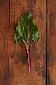 A beetroot leaf on a wooden surface
