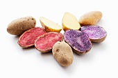 Various potato varieties