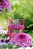 Pink dahlia in water glass decorating table