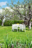 Weiß lackierte Gartenmöbel unter dem Apfelbaum
