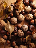 Chestnuts, hazelnuts, walnuts and autumnal leaves