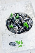 Fresh mussels in a pot