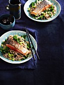 Fried noodles with miso and salmon (Asia)