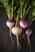 Purple Top Turnips with Greens