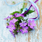 Violette Blumen (Storchschnabel und Vergissmeinnicht) mit Stoffbändern zusammengebunden auf Vintagebrett