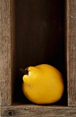 A quince in a wooden crate