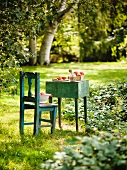 Pfirsiche auf einem alten Tisch und Stuhl im Garten