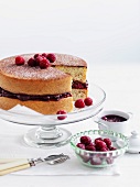 Hazelnut cake with chocolate and raspberry cream
