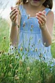 Little girl catching butterfly on wild flowers