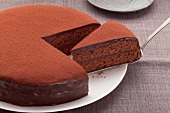 Chocolate torte dusted with cocoa powder