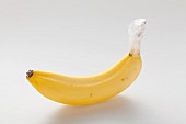 A banana with the stem wrapped in cling-film to keep it fresh for longer