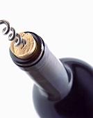 Corkscrew in a Wine Cork in a Bottle