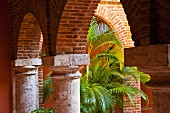 Historic arcade from Colonial era and magnificent palm tree