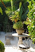 Foliage plants and collection of antique garden furniture in gravel courtyard