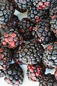 Blackberries (close up)