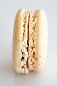 A White Macaroon on a White Background