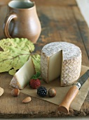 Artisanal Cheese with Nuts and Berries on Wood
