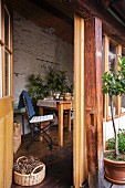 View into conservatory with rustic brick wall and set table; basket of pine cones in foreground
