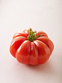 An oxheart tomato
