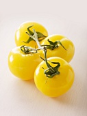 Yellow tomatoes of the variety 'Golden Bison'