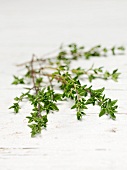 Sprigs of thyme on a white wooden table
